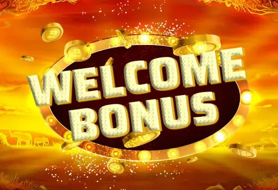 Mrpacho welcome bonus